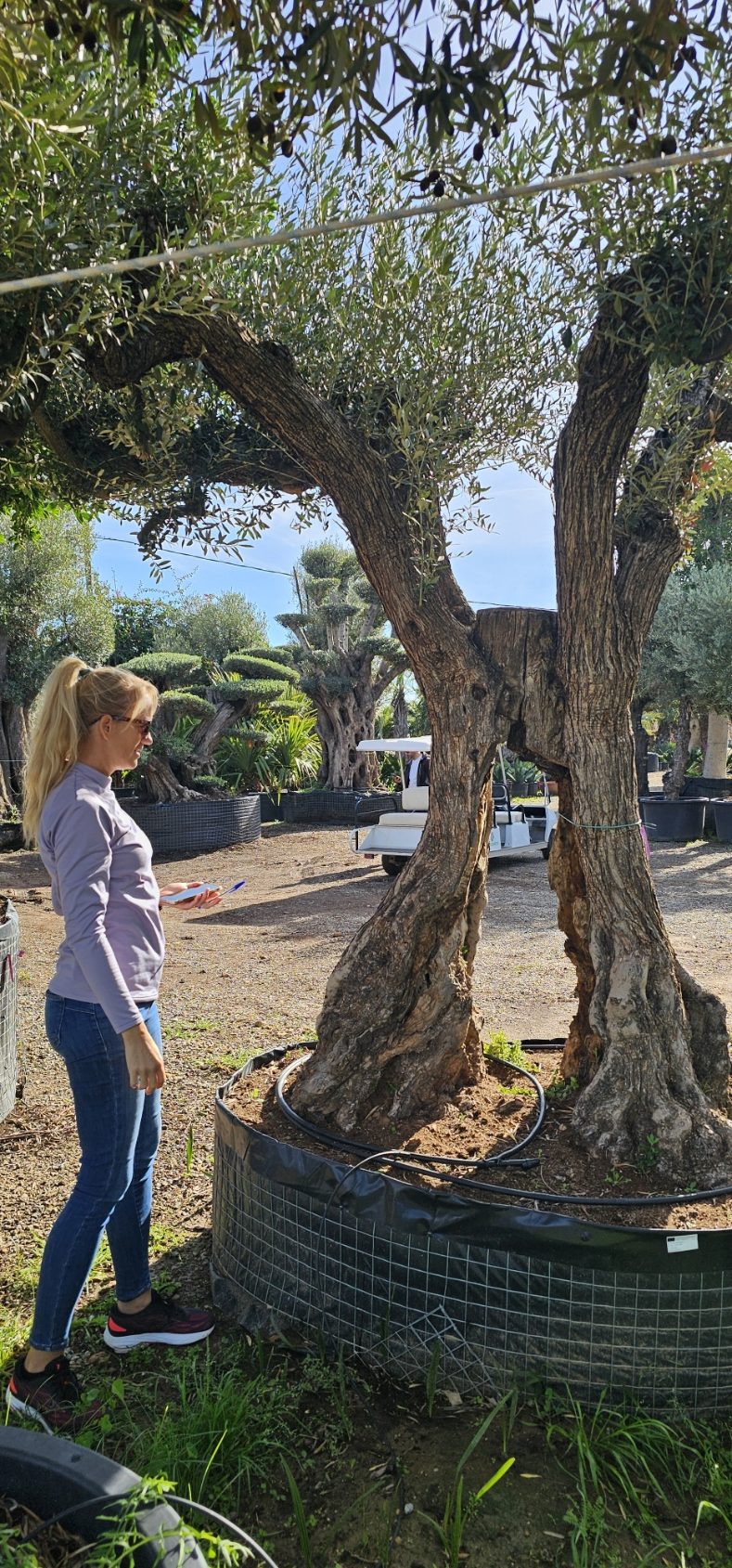 Spécimen d'exception. Dès mars 2026 – Image 3