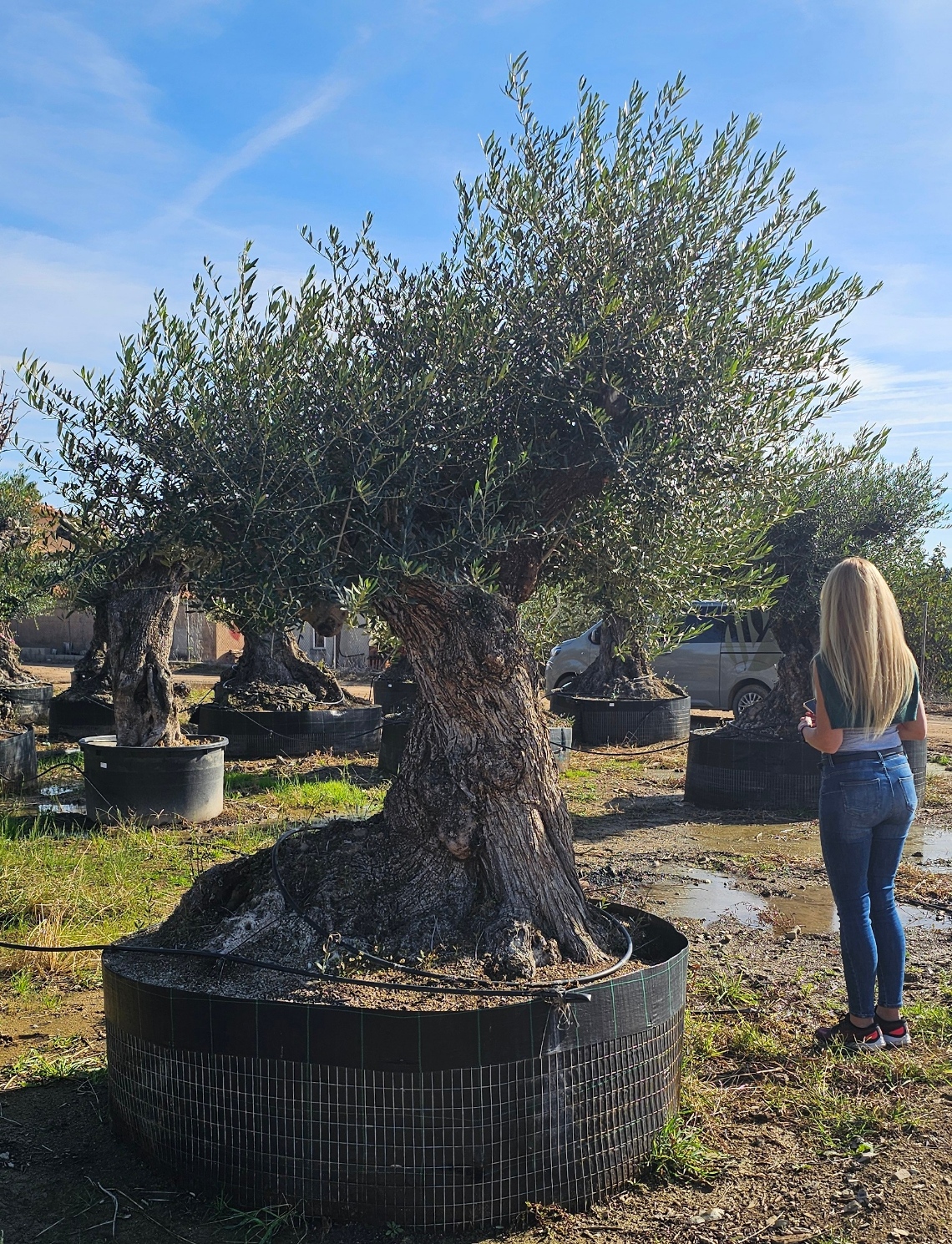 Spécimen numéro 2. Dès mars 2026 – Image 2