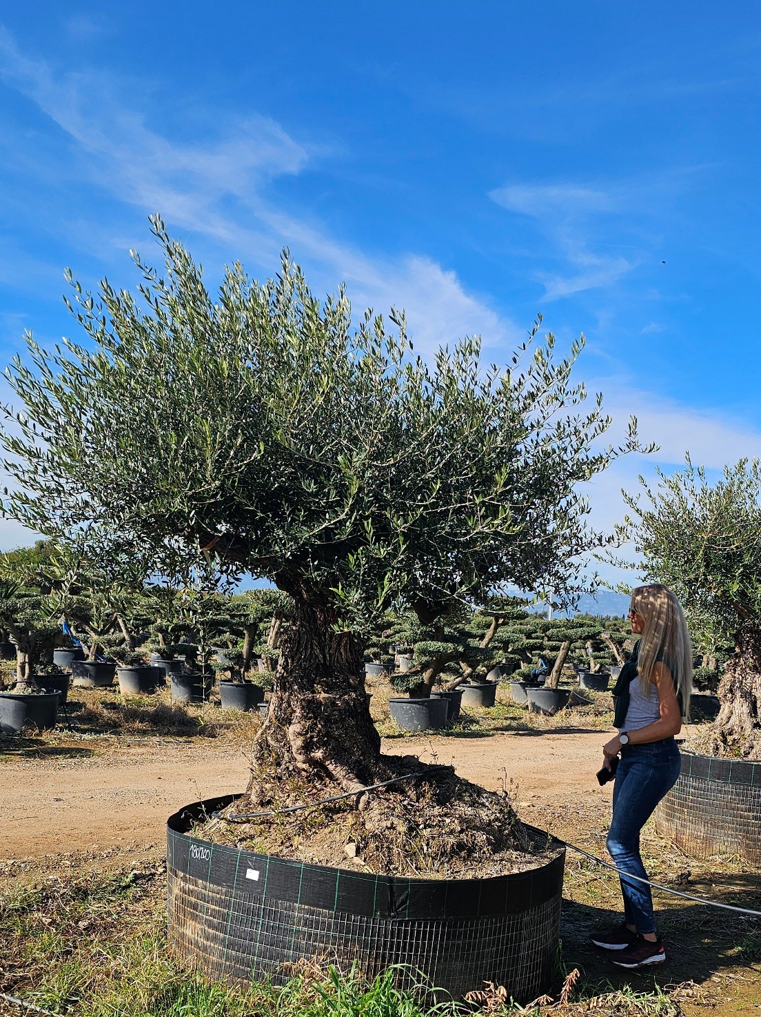 Spécimen numéro 2. Dès mars 2026