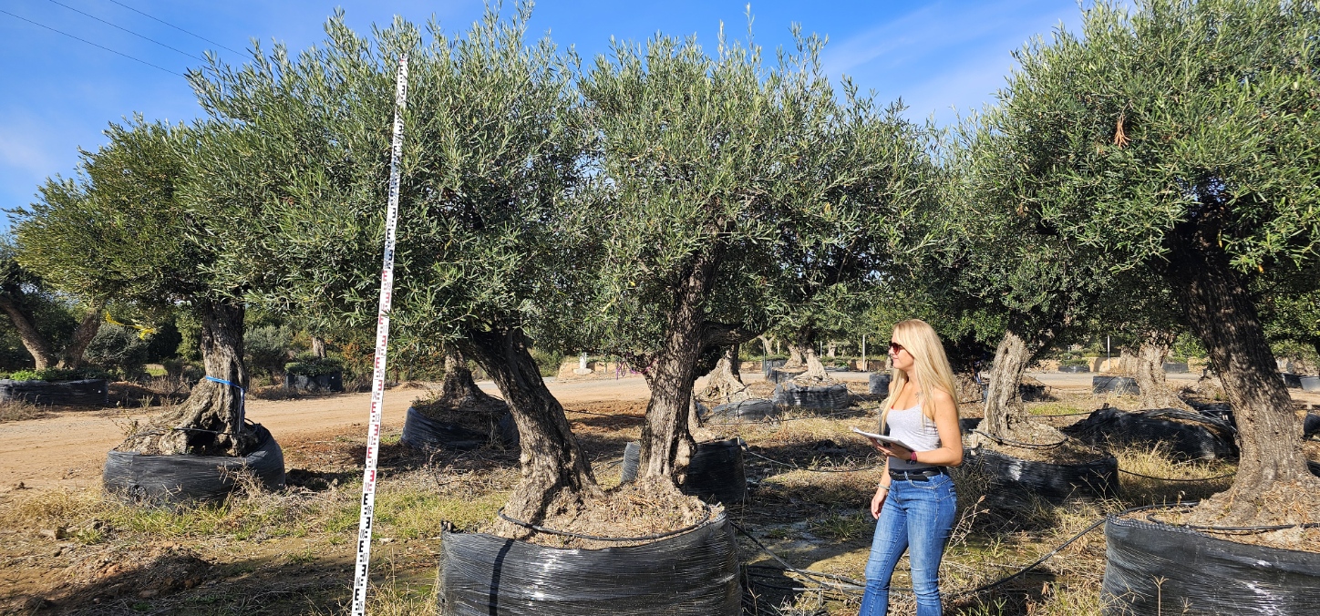 Spécimen numéro 5. Dès mars 2026